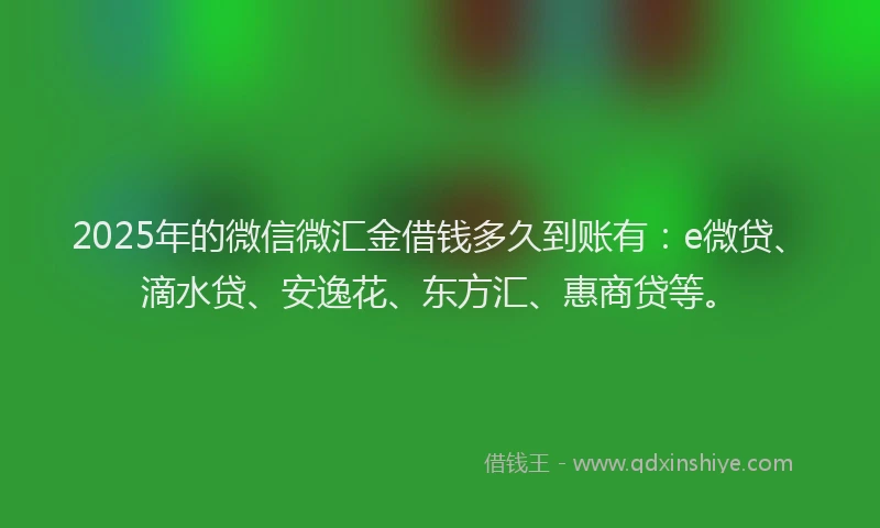 2025年的微信微汇金借钱多久到账有：e微贷、滴水贷、安逸花、东方汇、惠商贷等。
