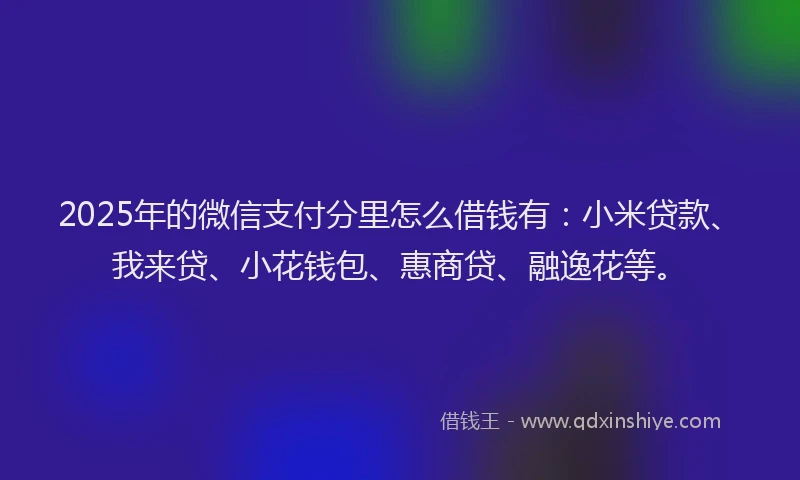 2025年的微信支付分里怎么借钱有：小米贷款、我来贷、小花钱包、惠商贷、融逸花等。