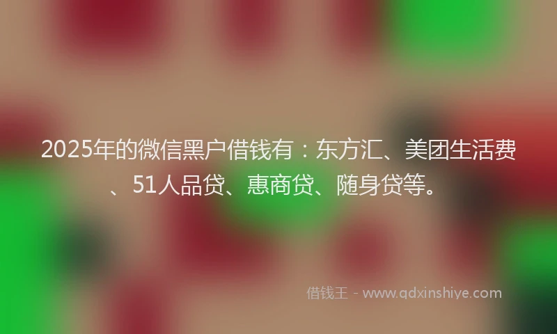 2025年的微信黑户借钱有：东方汇、美团生活费、51人品贷、惠商贷、随身贷等。