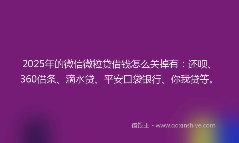 2025年的微信微粒贷借钱怎么关掉有：还呗、360借条、滴水贷、平安口袋银行、你我贷等。