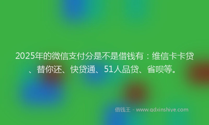 2025年的微信支付分是不是借钱有：维信卡卡贷、替你还、快贷通、51人品贷、省呗等。