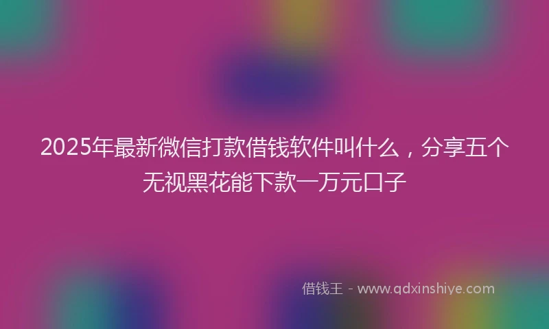 2025年最新微信打款借钱软件叫什么，分享五个无视黑花能下款一万元口子
