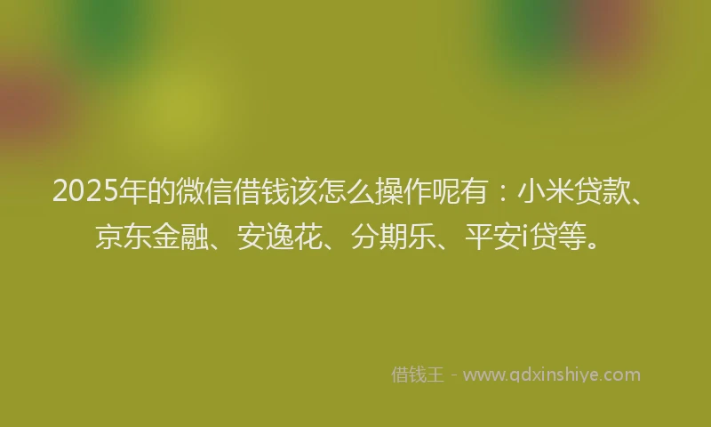 2025年的微信借钱该怎么操作呢有：小米贷款、京东金融、安逸花、分期乐、平安i贷等。