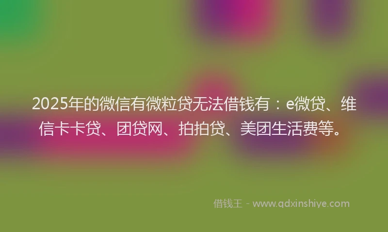 2025年的微信有微粒贷无法借钱有：e微贷、维信卡卡贷、团贷网、拍拍贷、美团生活费等。