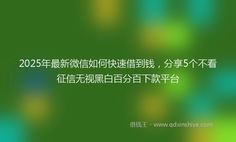 2025年最新微信如何快速借到钱，分享5个不看征信无视黑白百分百下款平台