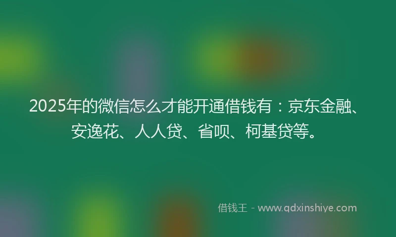 2025年的微信怎么才能开通借钱有：京东金融、安逸花、人人贷、省呗、柯基贷等。
