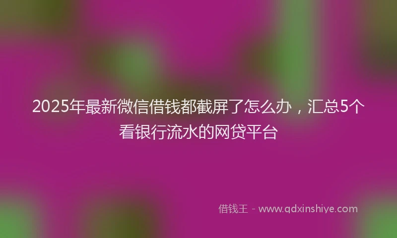 2025年最新微信借钱都截屏了怎么办，汇总5个看银行流水的网贷平台