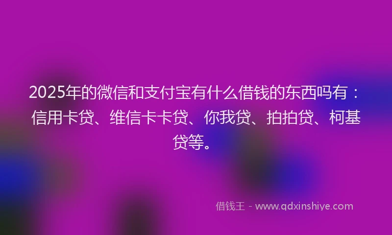 2025年的微信和支付宝有什么借钱的东西吗有：信用卡贷、维信卡卡贷、你我贷、拍拍贷、柯基贷等。
