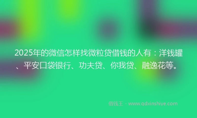 2025年的微信怎样找微粒贷借钱的人有：洋钱罐、平安口袋银行、功夫贷、你我贷、融逸花等。