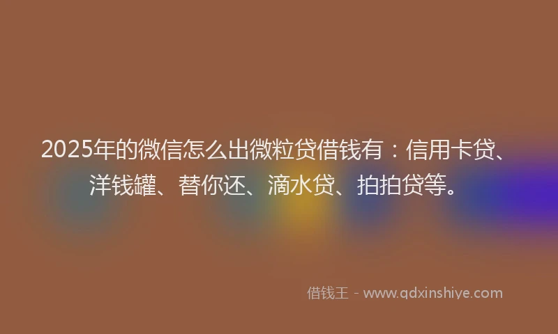 2025年的微信怎么出微粒贷借钱有：信用卡贷、洋钱罐、替你还、滴水贷、拍拍贷等。