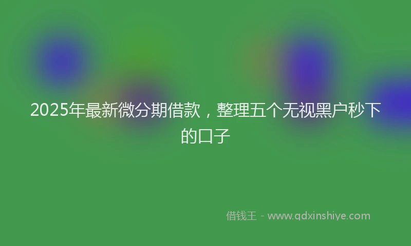 2025年最新微分期借款，整理五个无视黑户秒下的口子