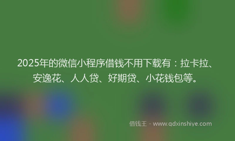 2025年的微信小程序借钱不用下载有：拉卡拉、安逸花、人人贷、好期贷、小花钱包等。