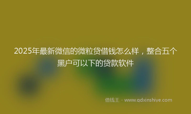 2025年最新微信的微粒贷借钱怎么样，整合五个黑户可以下的贷款软件