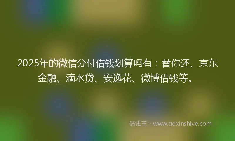 2025年的微信分付借钱划算吗有：替你还、京东金融、滴水贷、安逸花、微博借钱等。