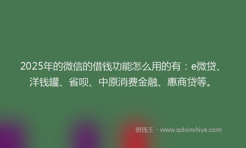 2025年的微信的借钱功能怎么用的有：e微贷、洋钱罐、省呗、中原消费金融、惠商贷等。