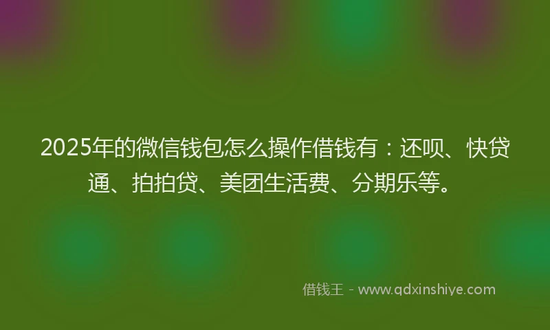 2025年的微信钱包怎么操作借钱有：还呗、快贷通、拍拍贷、美团生活费、分期乐等。