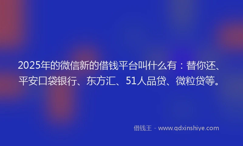 2025年的微信新的借钱平台叫什么有：替你还、平安口袋银行、东方汇、51人品贷、微粒贷等。