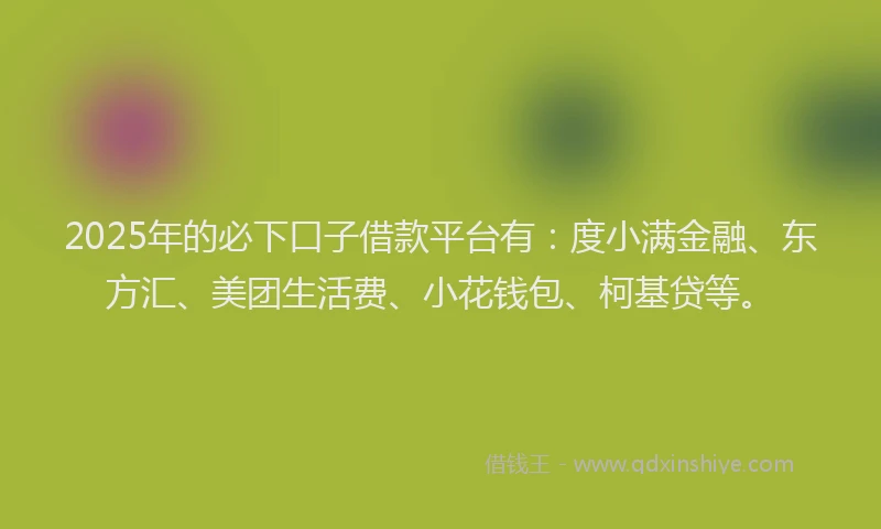 2025年的必下口子借款平台有：度小满金融、东方汇、美团生活费、小花钱包、柯基贷等。