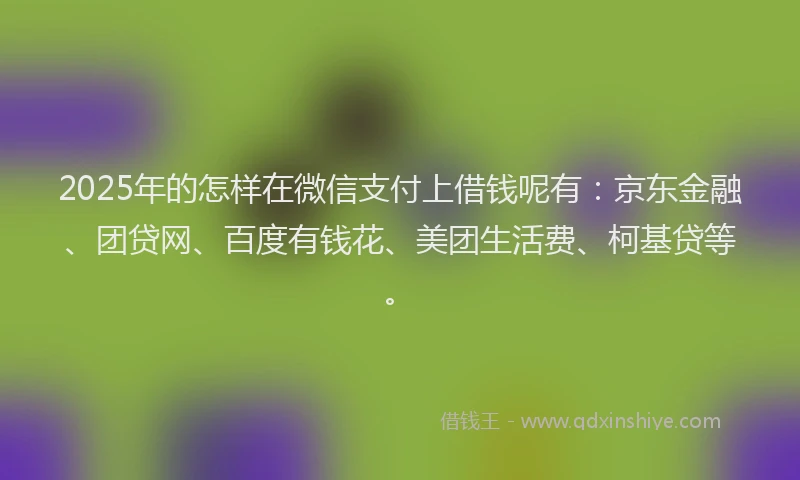 2025年的怎样在微信支付上借钱呢有：京东金融、团贷网、百度有钱花、美团生活费、柯基贷等。