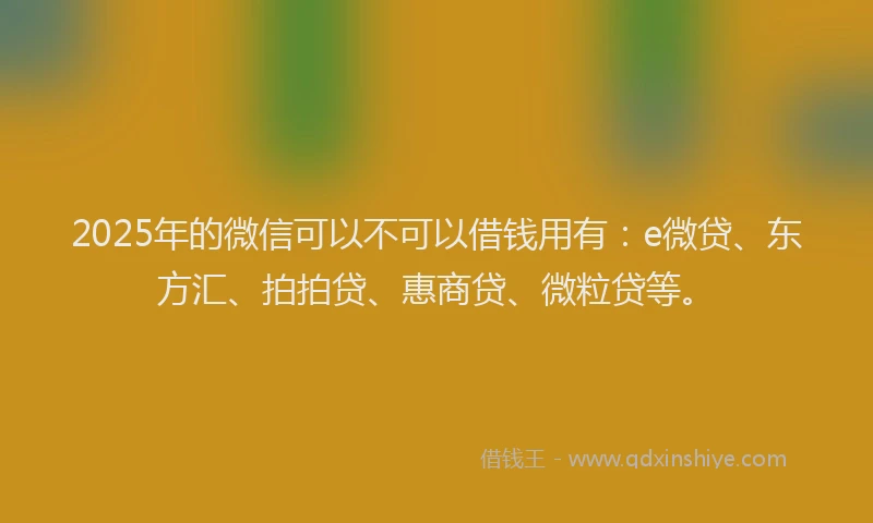 2025年的微信可以不可以借钱用有：e微贷、东方汇、拍拍贷、惠商贷、微粒贷等。