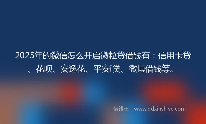 2025年的微信怎么开启微粒贷借钱有：信用卡贷、花呗、安逸花、平安i贷、微博借钱等。
