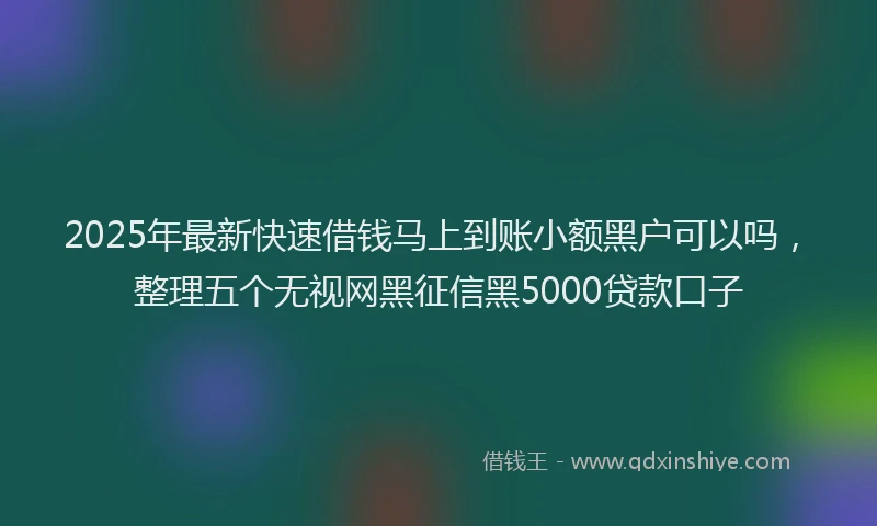 2025年最新快速借钱马上到账小额黑户可以吗，整理五个无视网黑征信黑5000贷款口子