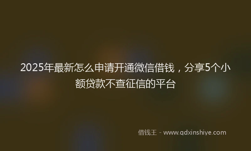 2025年最新怎么申请开通微信借钱，分享5个小额贷款不查征信的平台