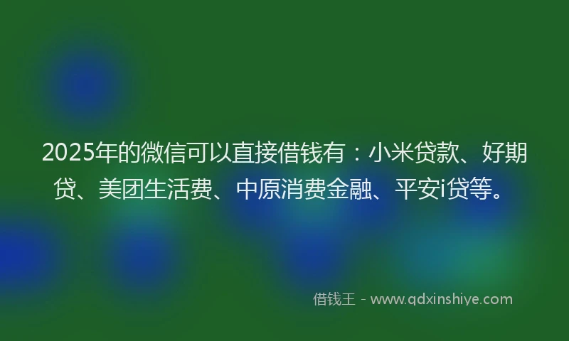 2025年的微信可以直接借钱有：小米贷款、好期贷、美团生活费、中原消费金融、平安i贷等。