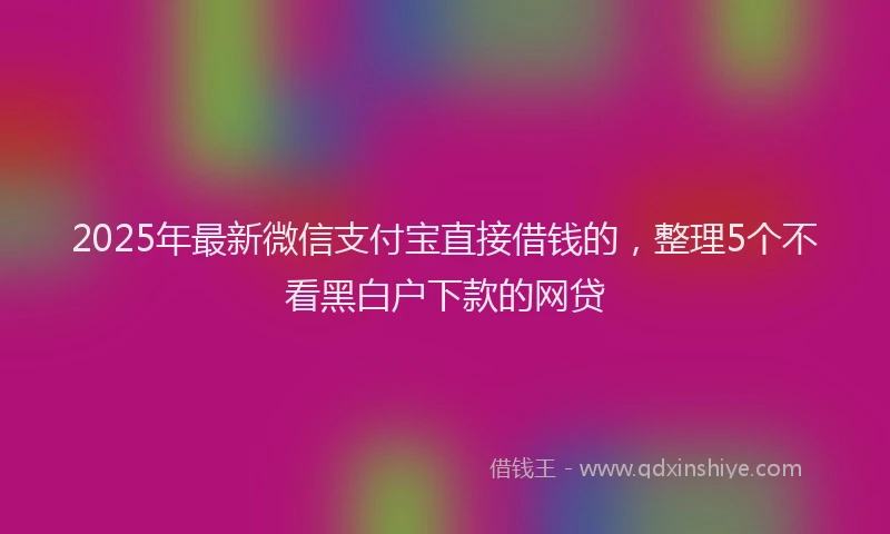 2025年最新微信支付宝直接借钱的，整理5个不看黑白户下款的网贷