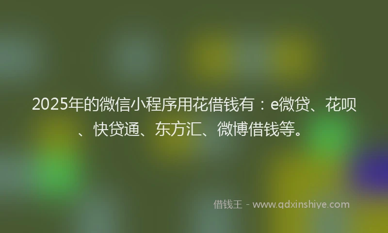2025年的微信小程序用花借钱有：e微贷、花呗、快贷通、东方汇、微博借钱等。