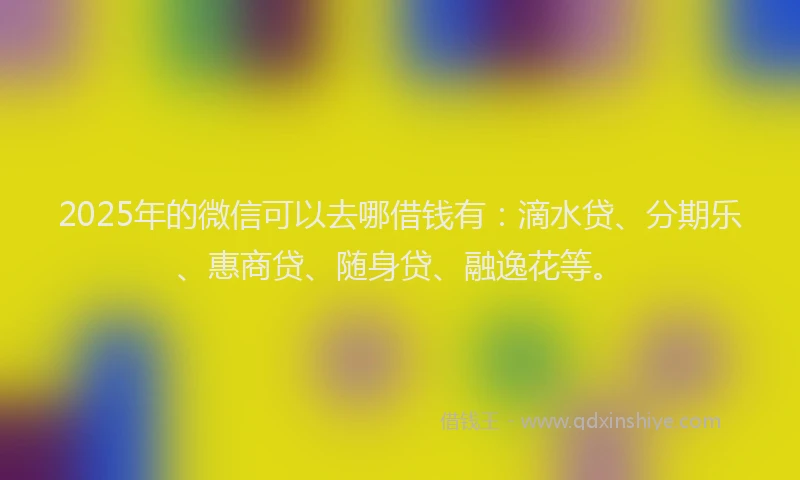 2025年的微信可以去哪借钱有：滴水贷、分期乐、惠商贷、随身贷、融逸花等。