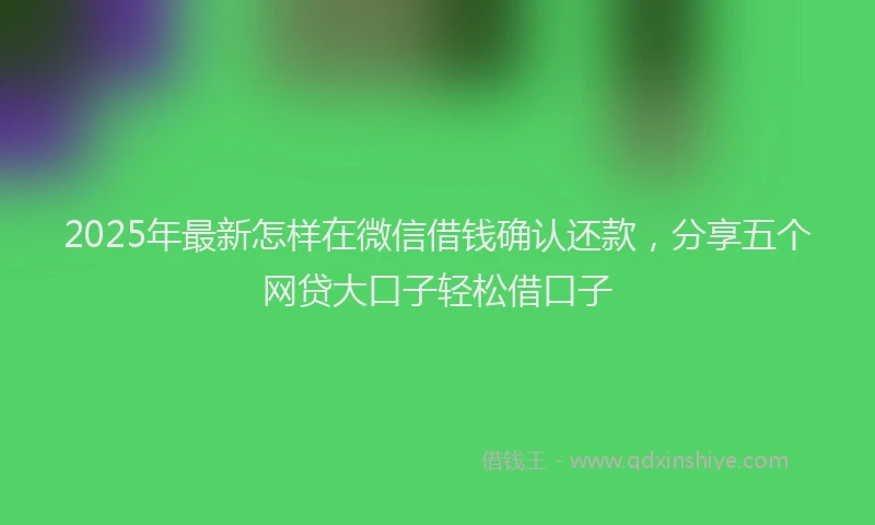 2025年最新怎样在微信借钱确认还款，分享五个网贷大口子轻松借口子