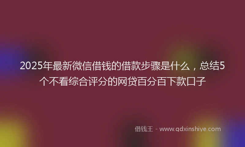 2025年最新微信借钱的借款步骤是什么，总结5个不看综合评分的网贷百分百下款口子