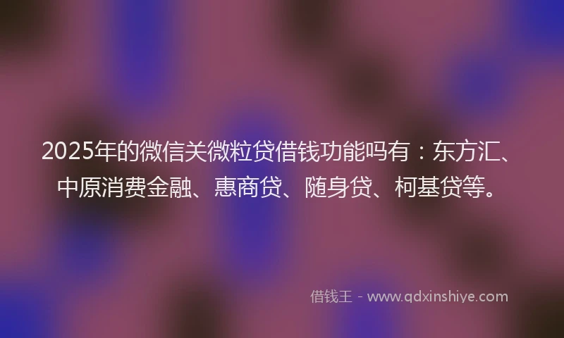 2025年的微信关微粒贷借钱功能吗有：东方汇、中原消费金融、惠商贷、随身贷、柯基贷等。