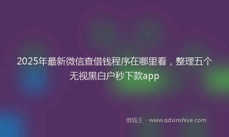 2025年最新微信查借钱程序在哪里看，整理五个无视黑白户秒下款app