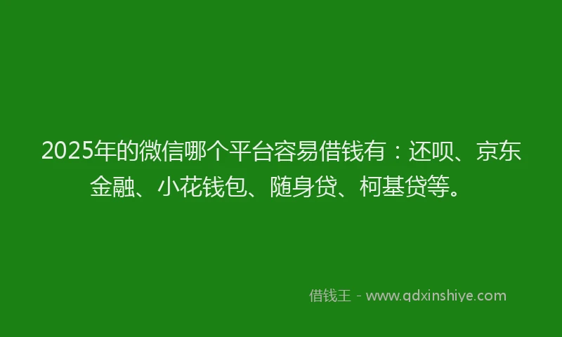 2025年的微信哪个平台容易借钱有：还呗、京东金融、小花钱包、随身贷、柯基贷等。