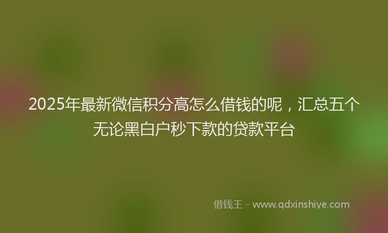2025年最新微信积分高怎么借钱的呢，汇总五个无论黑白户秒下款的贷款平台