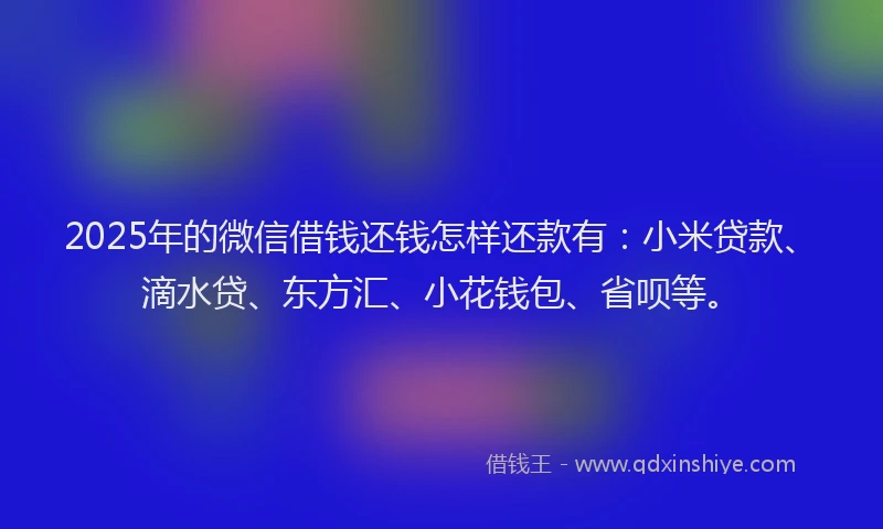 2025年的微信借钱还钱怎样还款有：小米贷款、滴水贷、东方汇、小花钱包、省呗等。