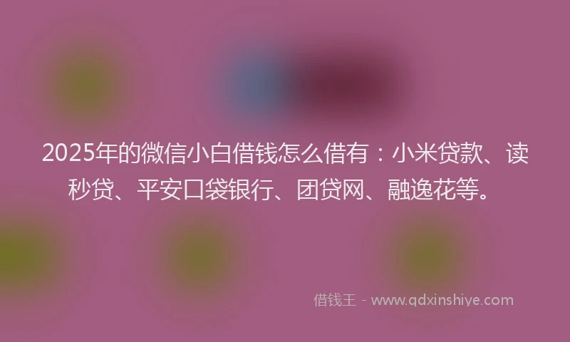 2025年的微信小白借钱怎么借有：小米贷款、读秒贷、平安口袋银行、团贷网、融逸花等。