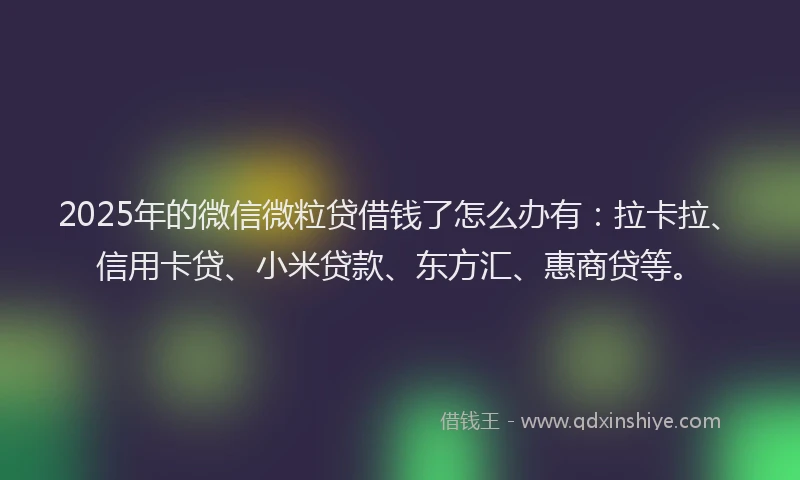 2025年的微信微粒贷借钱了怎么办有：拉卡拉、信用卡贷、小米贷款、东方汇、惠商贷等。