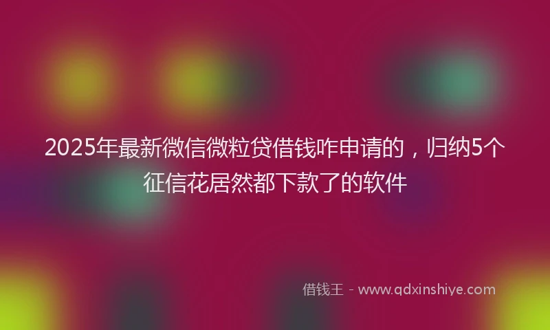 2025年最新微信微粒贷借钱咋申请的，归纳5个征信花居然都下款了的软件