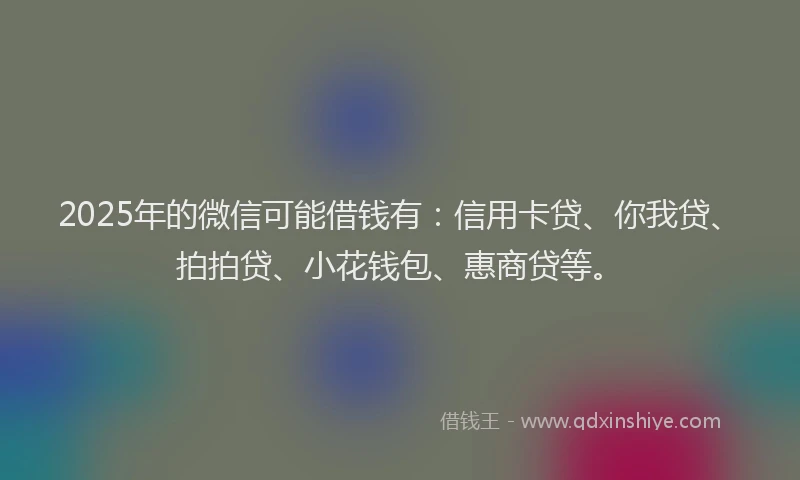 2025年的微信可能借钱有：信用卡贷、你我贷、拍拍贷、小花钱包、惠商贷等。