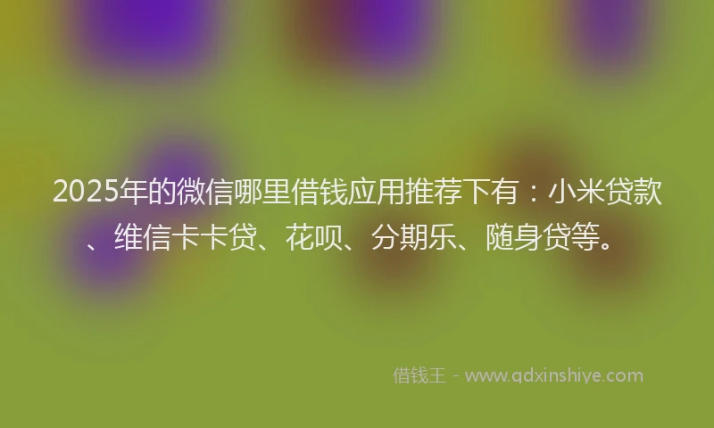 2025年的微信哪里借钱应用推荐下有：小米贷款、维信卡卡贷、花呗、分期乐、随身贷等。