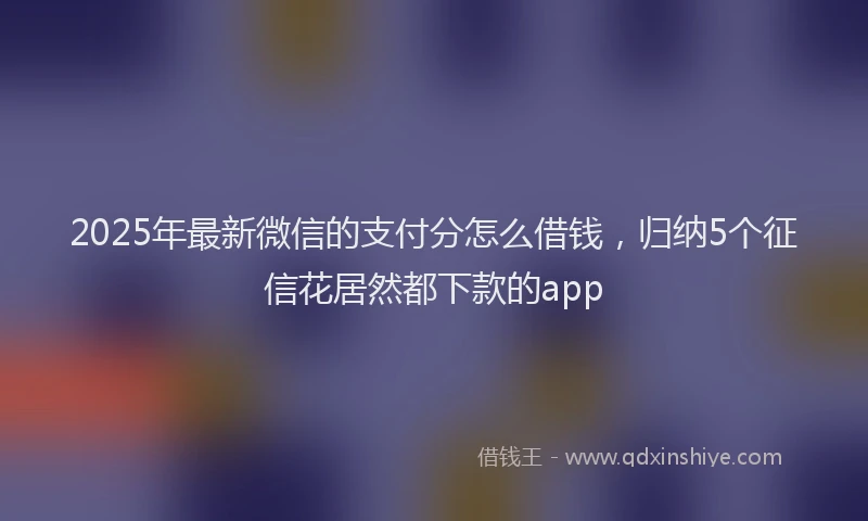 2025年最新微信的支付分怎么借钱，归纳5个征信花居然都下款的app