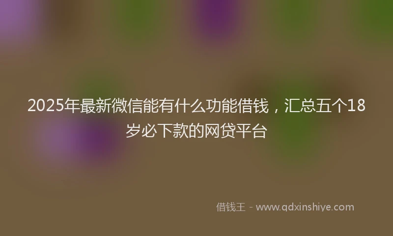 2025年最新微信能有什么功能借钱，汇总五个18岁必下款的网贷平台