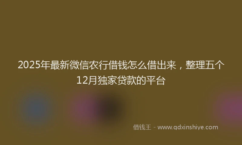 2025年最新微信农行借钱怎么借出来，整理五个12月独家贷款的平台