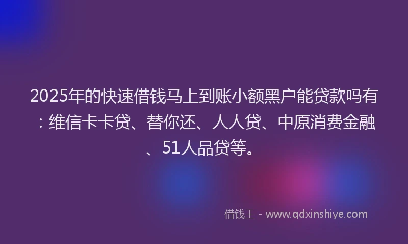 2025年的快速借钱马上到账小额黑户能贷款吗有：维信卡卡贷、替你还、人人贷、中原消费金融、51人品贷等。