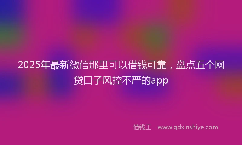 2025年最新微信那里可以借钱可靠，盘点五个网贷口子风控不严的app