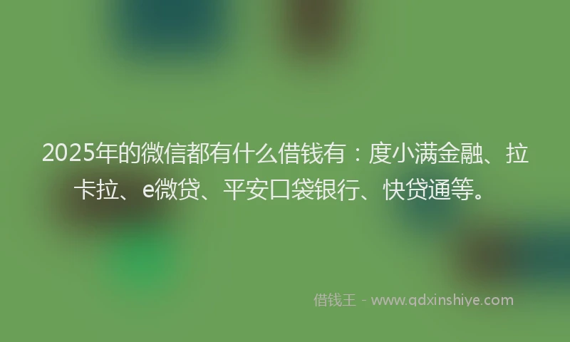 2025年的微信都有什么借钱有：度小满金融、拉卡拉、e微贷、平安口袋银行、快贷通等。