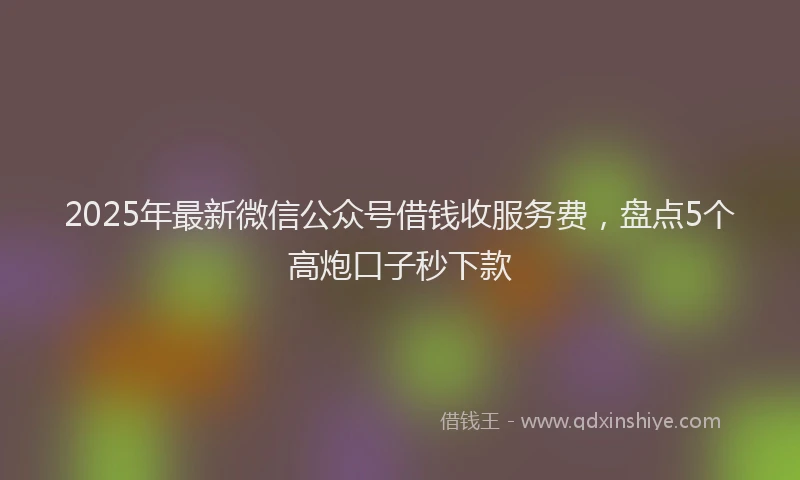 2025年最新微信公众号借钱收服务费，盘点5个高炮口子秒下款